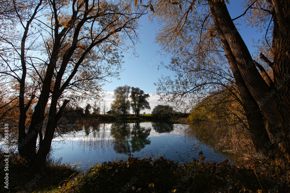 View trhough some trees over a little lake with a perfect water reflection of a lake in the autumn, fall. 