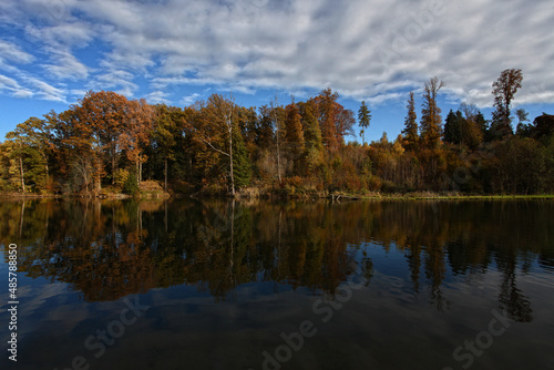 Perfect water reflection of a lake in the autumn, fall with colourful trees giving a perfect mirror.