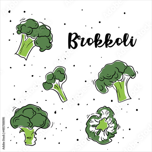 Set of broccoli illustration in sketch style isolated vector on white background