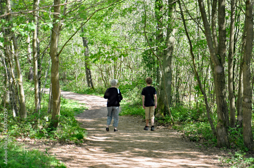 Walking in the woods