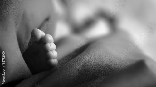 Wallpaper Mural lovely newborn Torontodigital.ca