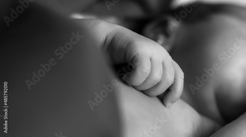 Wallpaper Mural lovely newborn Torontodigital.ca