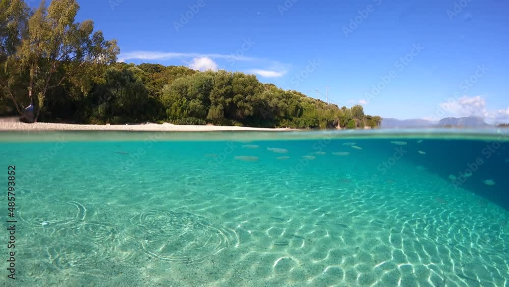 Underwater split video of famous bay and sandy turquoise beach of Fanari with crystal clear calm sea and rich aquatic life in Ionian island of Meganisi, Greece Underwater split video of famous bay and sandy turquoise beach of Fanari with crystal clear calm sea and rich aquatic life in Ionian island of Meganisi, Greece