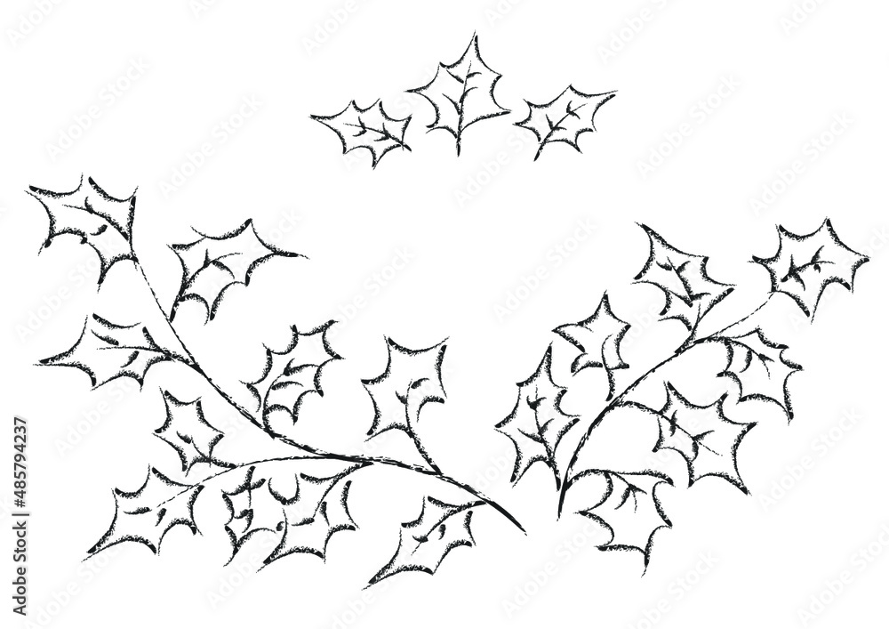 Vector hand-drawn ink and pencil sketch of maple leaves like decorative elements