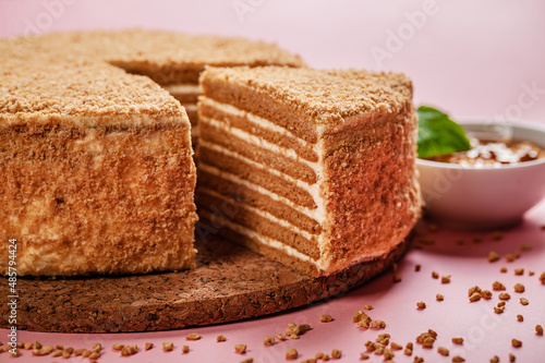 Close-up Homemade honey cake with sour cream on a pink background. Homemade tasty sweet pastry. Copy space