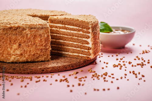 Food banner. Homemade honey cake with sour cream on a pink background. Homemade tasty sweet pastry. Copy space