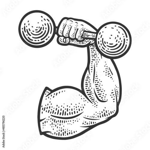 Strongman hand arm with dumbbell sketch engraving vector illustration. T-shirt apparel print design. Scratch board imitation. Black and white hand drawn image.