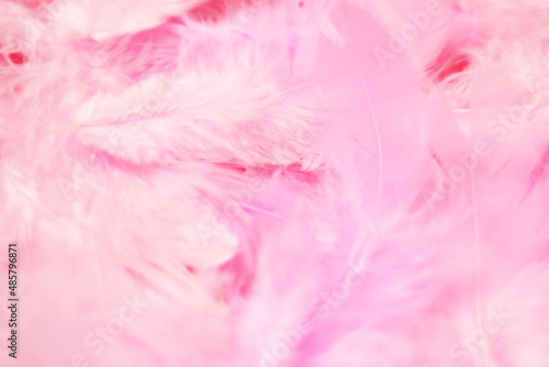 Close up a soft  gentle and fluffy pink pastel color feathers texture background