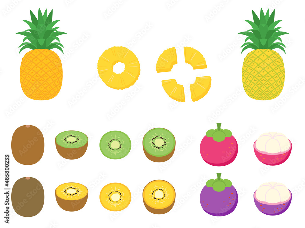 果物イラスト バラエティセット パイナップル キウイ マンゴスチン Stock Vector Adobe Stock