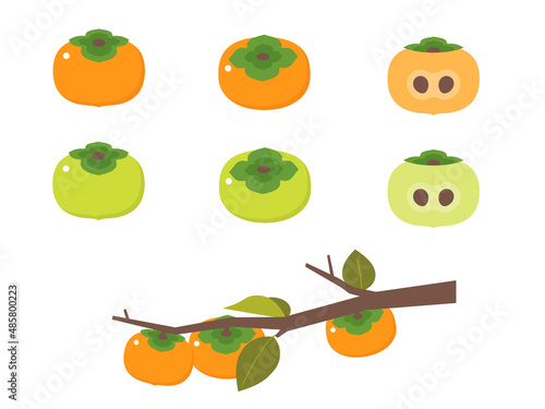 果物イラスト　バラエティセット　柿