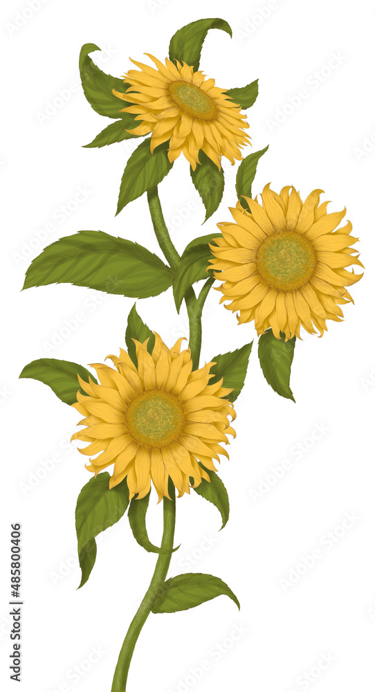 Naklejka premium Green plant with yellow flowers