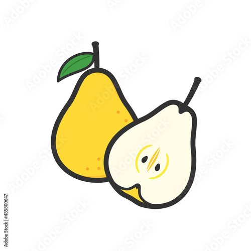 果物イラスト　洋梨とその断面