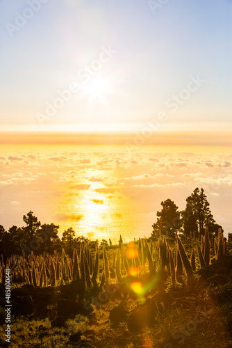 Sunset between Tajinastes in Caldera De Taburiente Nature Park, La Palma Island, Canary Islands, Spain