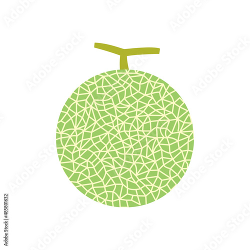 果物イラスト　網模様のメロン