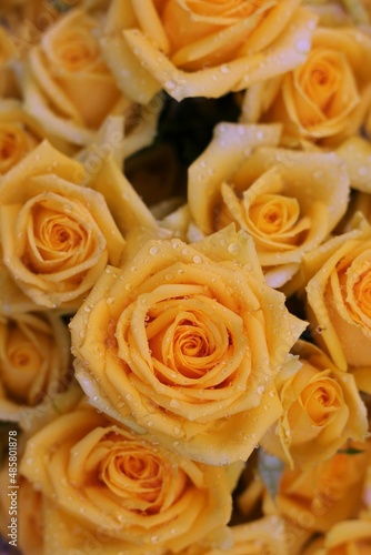 yellow roses bouquet