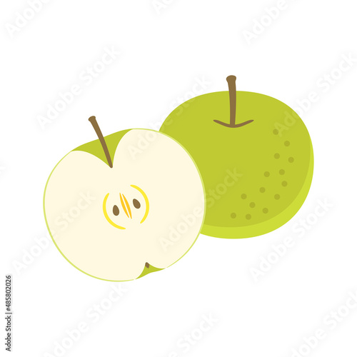 果物イラスト　日本の梨とその断面