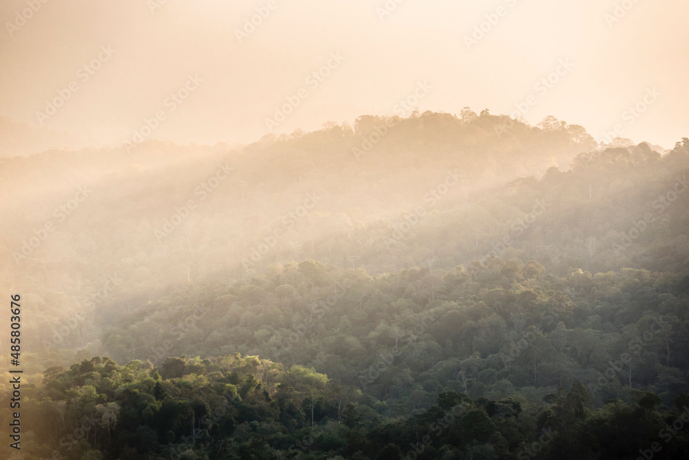 Rainforest at sunrise seen from Bukit Tabur Mountain, Kuala Lumpur, Malaysia, Southeast Asia