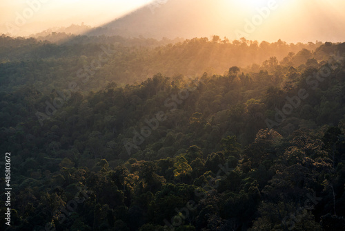 Photography Rainforest at sunrise seen from Bukit Tabur Mountain, Kuala Lumpur, Malaysia, So