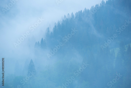 Misty Romanian forest landscape around Sucevita Monastery  Bukovina Region  Romania