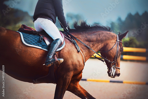 Fototapeta A beautiful fast bay horse with a rider in the saddle gallops at a show jumping competition