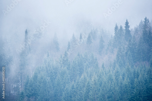 Winter landscape, Avoriaz Ski Area, Port du Soleil, Auvergne Rhone Alpes, Alps, France, Europe