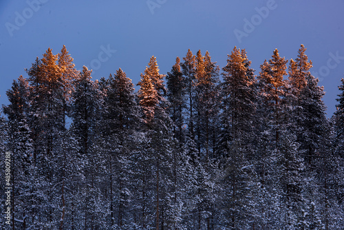 Yllasjarvi, Lapland, Finland photo