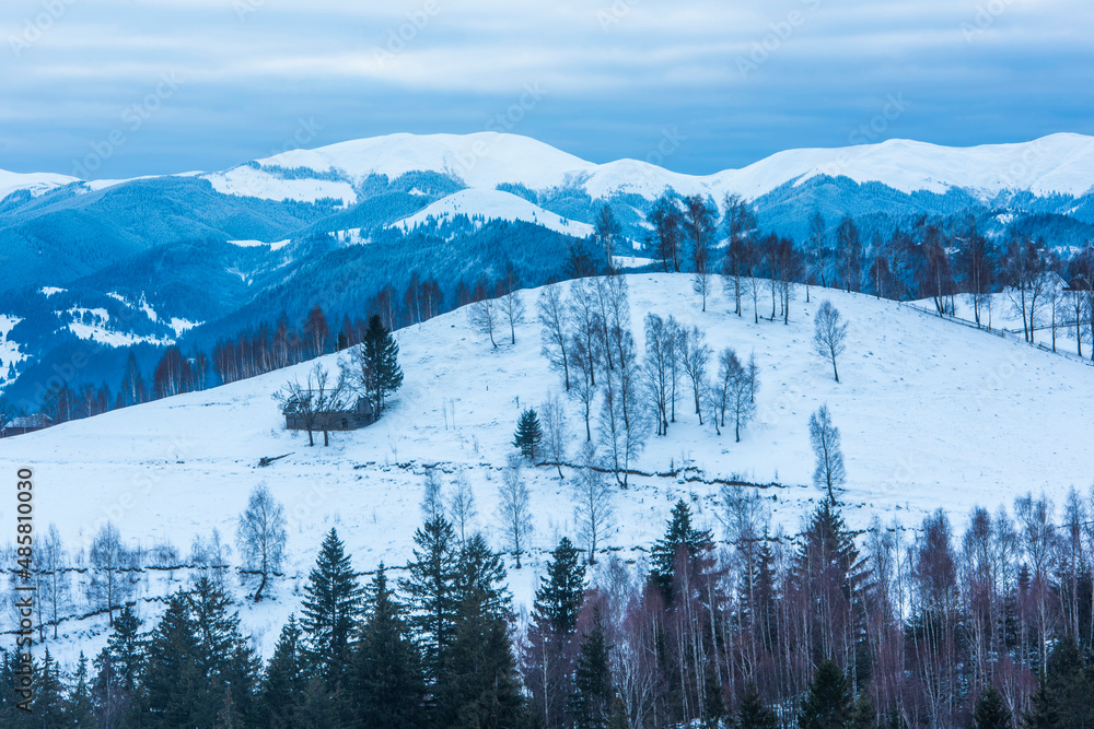 Carpathian Mountains snowy winter landscape, Pestera, Bran, Transylvania, Romania