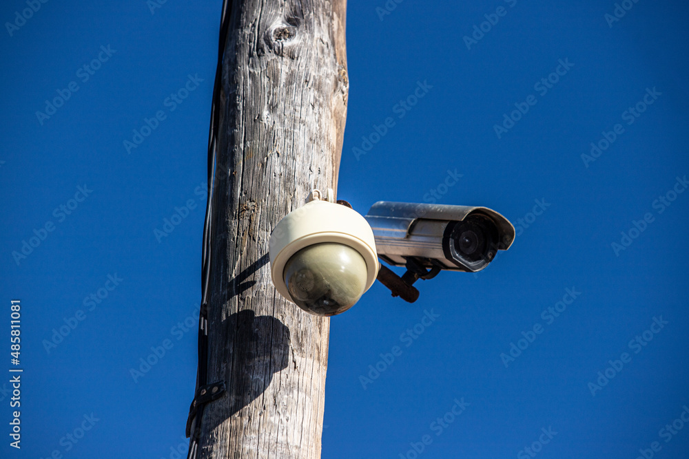 Fototapeta premium watching camera against blue sky