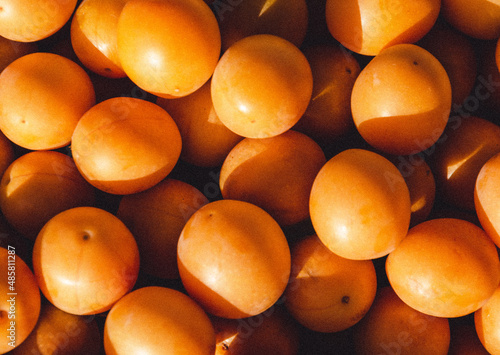 apricots