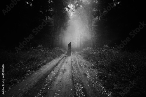 ghost in dark scary forest ...