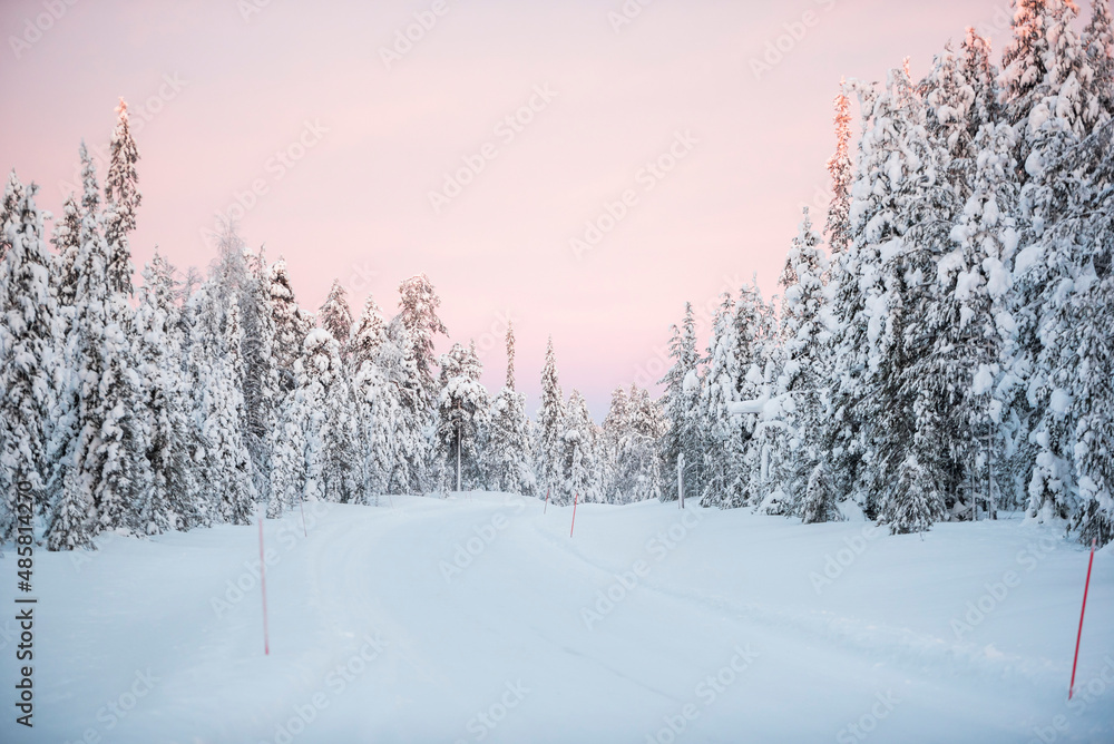 Snow covered road through a forest in winter in the Arctic Circle on a road trip in Lapland, Finland Snow covered road through a forest in winter in the Arctic Circle on a road trip in Lapland, Finland