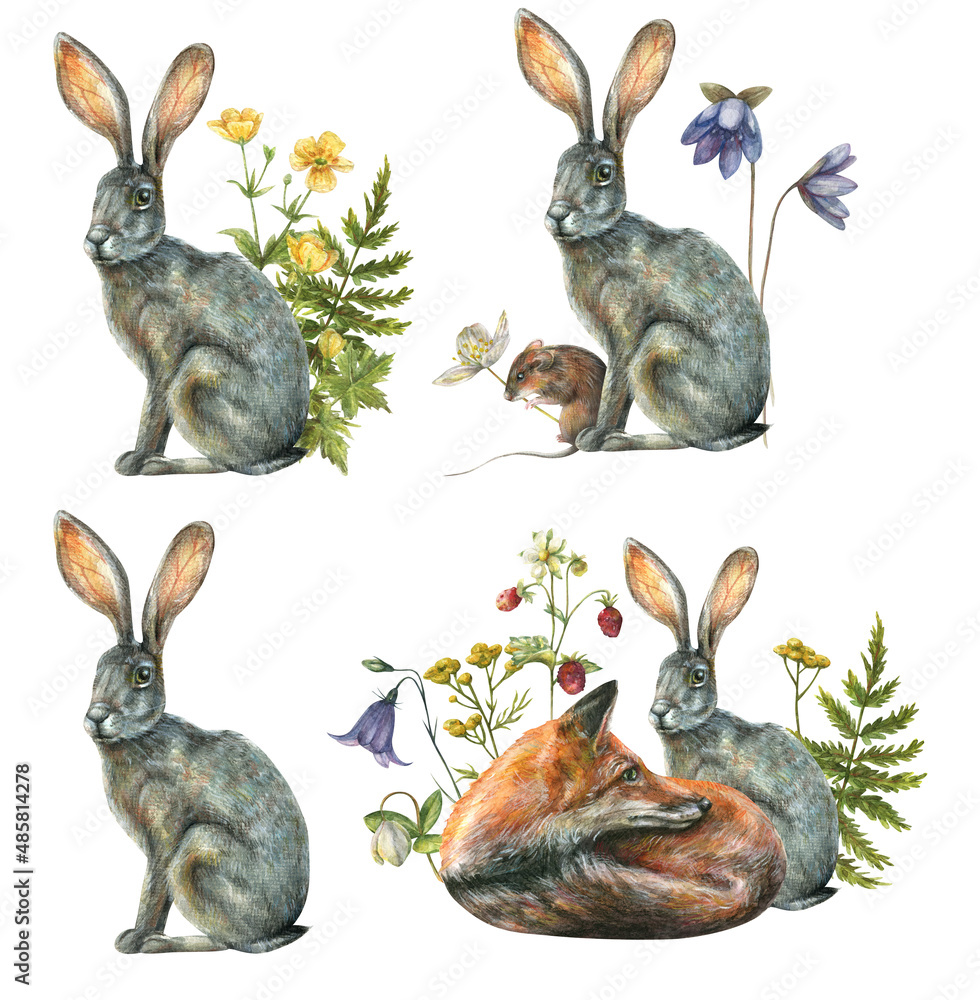 Fototapeta premium Watercolor set with illustration of cute animals gray bunny, fox, mouse surrounded by forest flowers and berries.