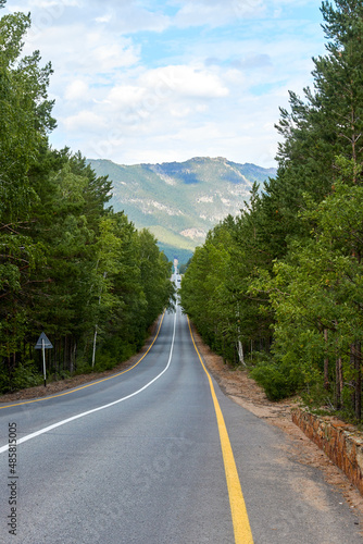 paved highway running through the pine forest