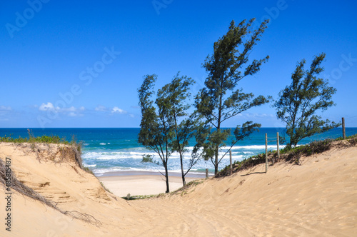 sand beach and blue sky in gamboa , santa catarina