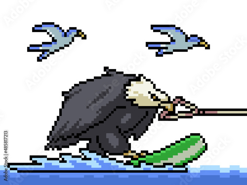 pixel art eagle surf ski