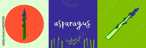 Vector asparagus icon. Pencil textures. Green sparrow grass illustration isolated. Vegan restaurant logo, vegetarian symbol. Cooking sign. Vegetable drawing for label. Word asparagus hand-lettering.