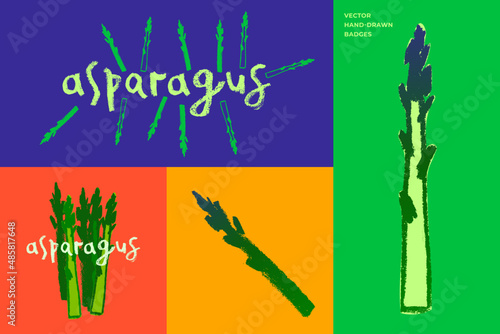 Vector asparagus icon. Pencil textures. Green sparrow grass illustration isolated. Vegan restaurant logo, vegetarian symbol. Cooking sign. Vegetable drawing for label. Word asparagus hand-lettering.