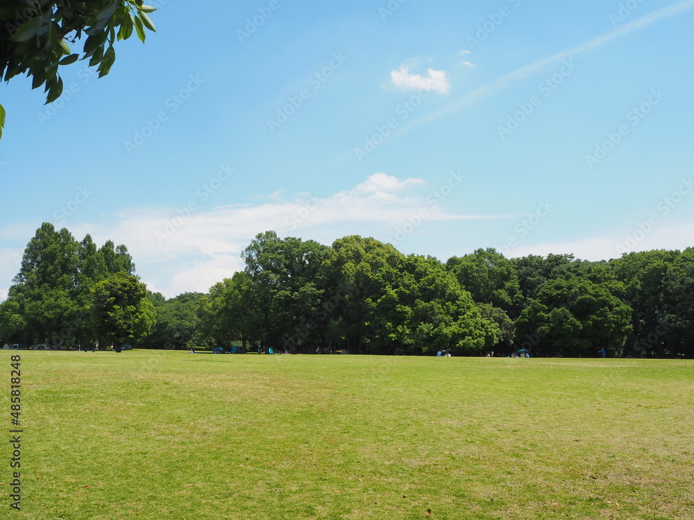 a large park with lawns in Japan