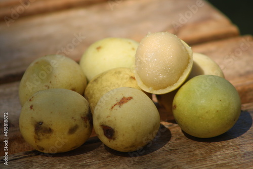 African marula fruits