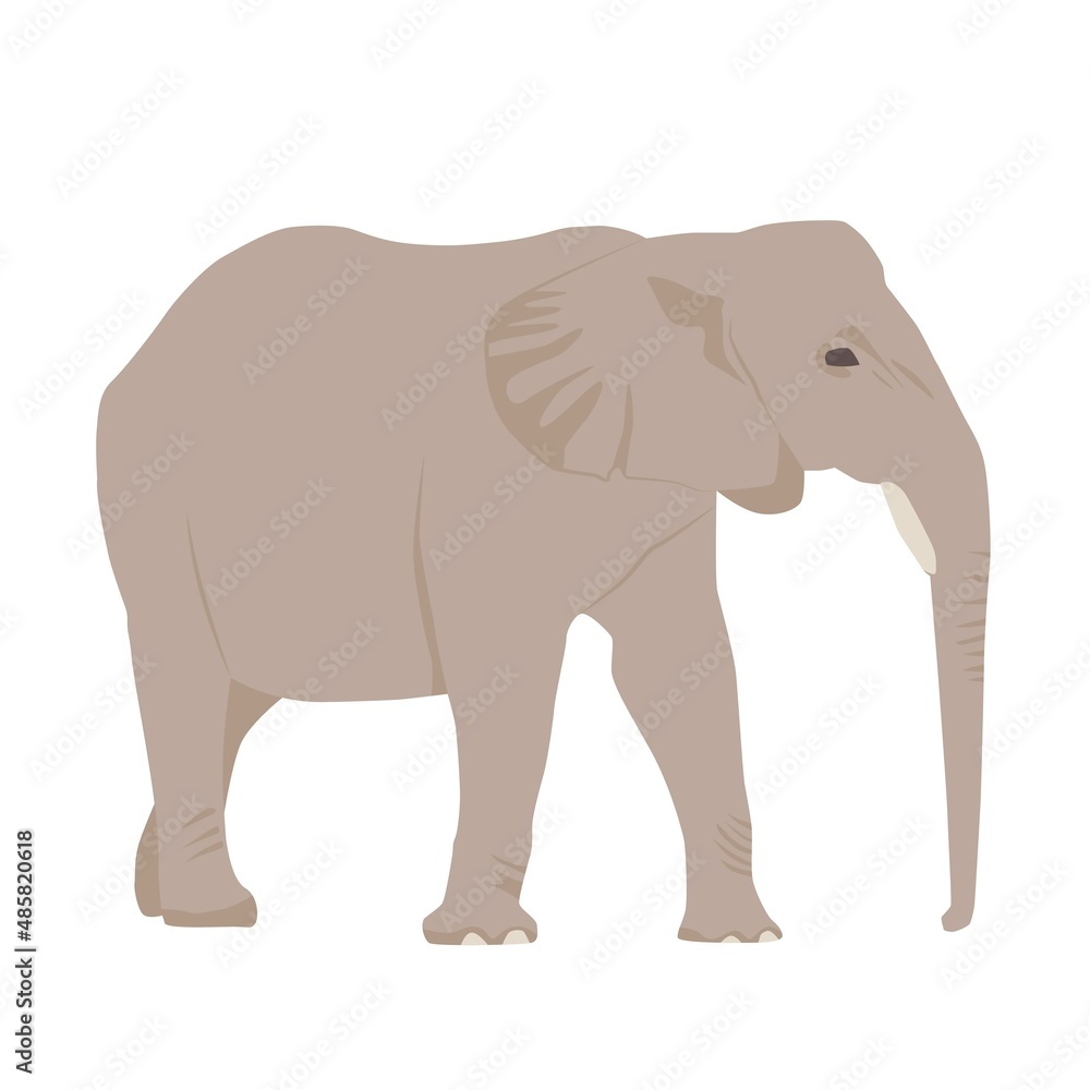 Fototapeta premium Abstract modern illustration african elephant (Loxodonta) from side, Trendy artistic vector design isolated on white background