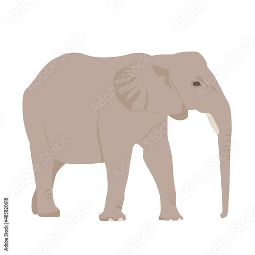 Abstract modern illustration african elephant  Loxodonta  from side  Trendy artistic vector design isolated on white background