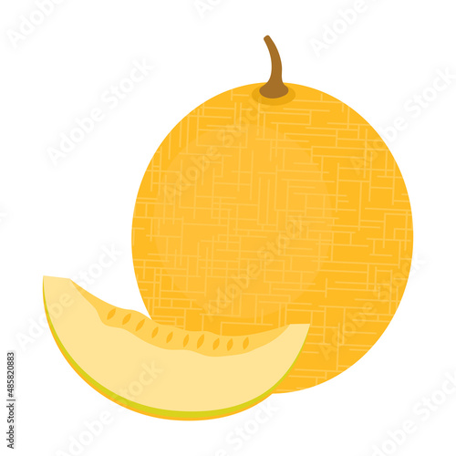 Melon whole fruit and slice isolated on white background. Yellow muskmelon, cantaloupe or canary melon fruit icon for package design. Healthy food concept. Vector illustration of tropical fruits.