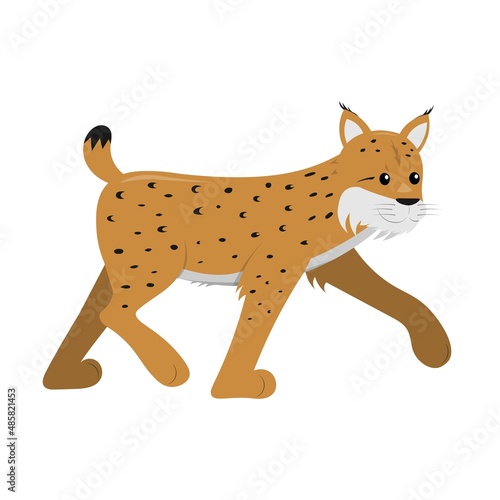 lynx from side walking isolated on white background, cute vector illustration for children and kids