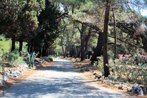 Hiking  the lovely nature of national park Brioni, Croatia