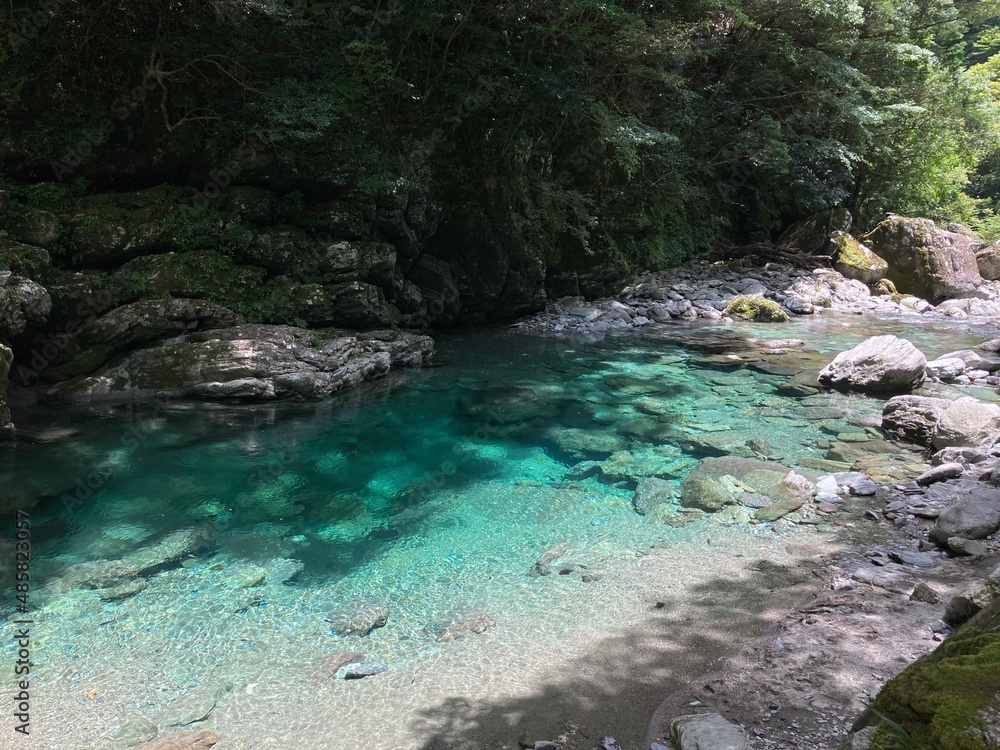 river in the forest