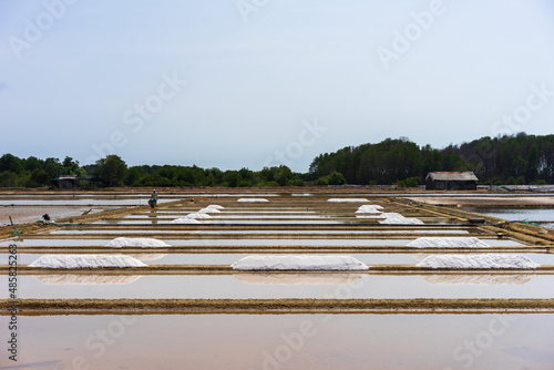 salt field