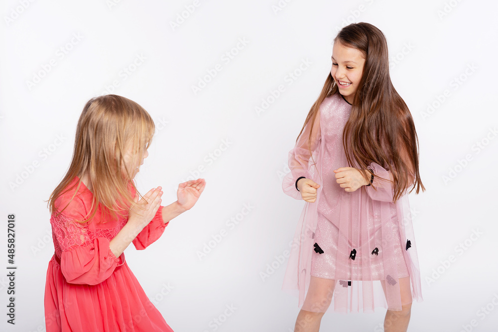Best friends girls fight. Two young girls wear pink dress having fun and playful quarrel trying to repeat the techniques of karate on white background Best friends girls fight. Two young girls wear pink dress having fun and playful quarrel trying to repeat the techniques of karate on white background