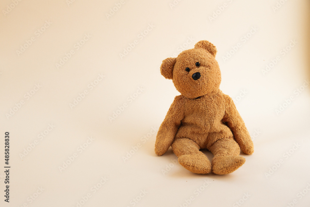 Obraz premium brown teddy bear