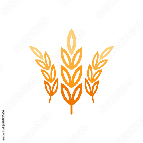 Wheat logo design. Oat symbol vector.