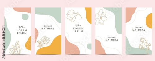 Color design background for social media with flower, leaf,shape